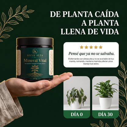 Mineral Vital | Silva Alta